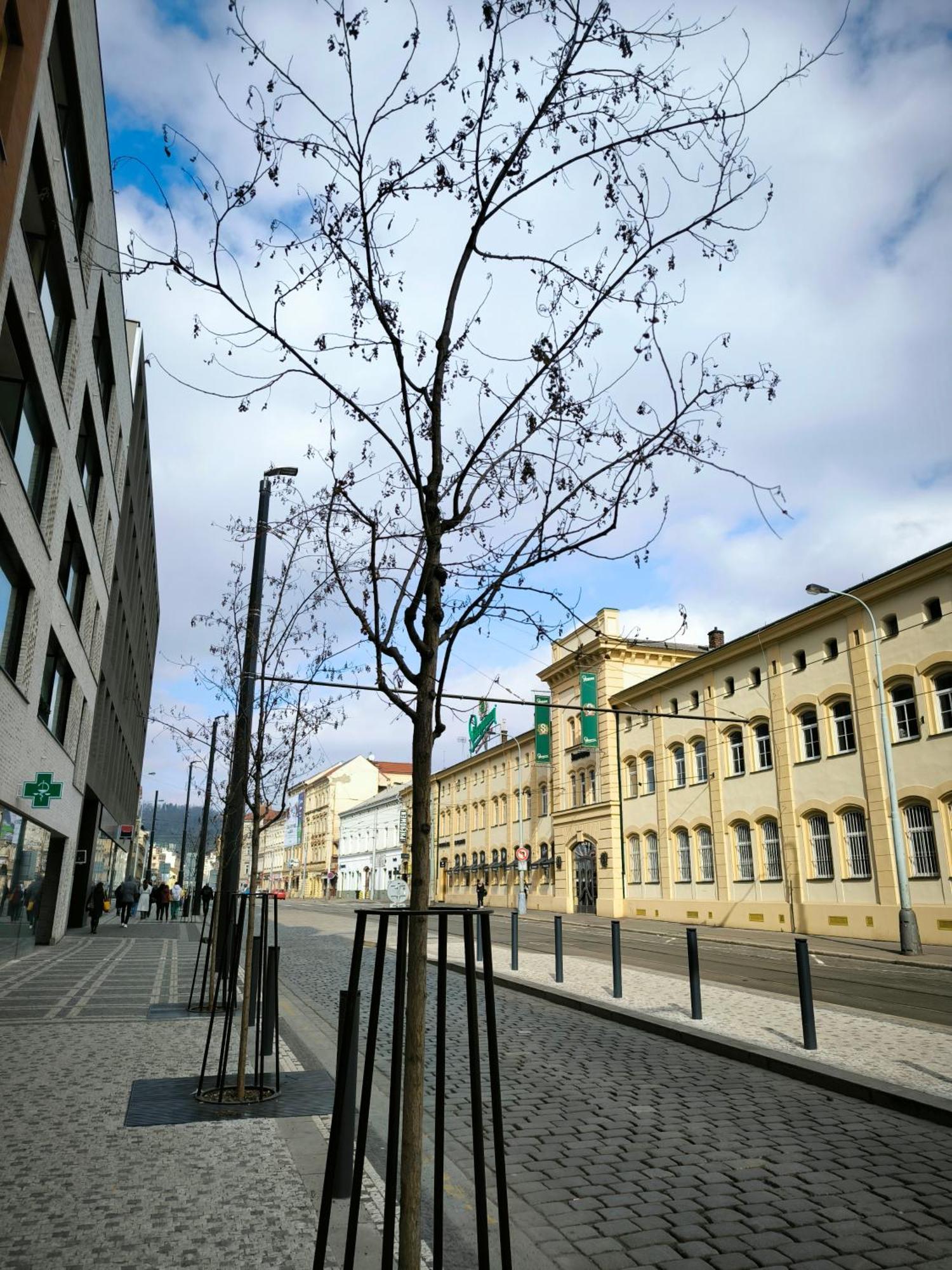 Valentinka Minutes Away From Charles Bridge Apartment Prague Exterior photo